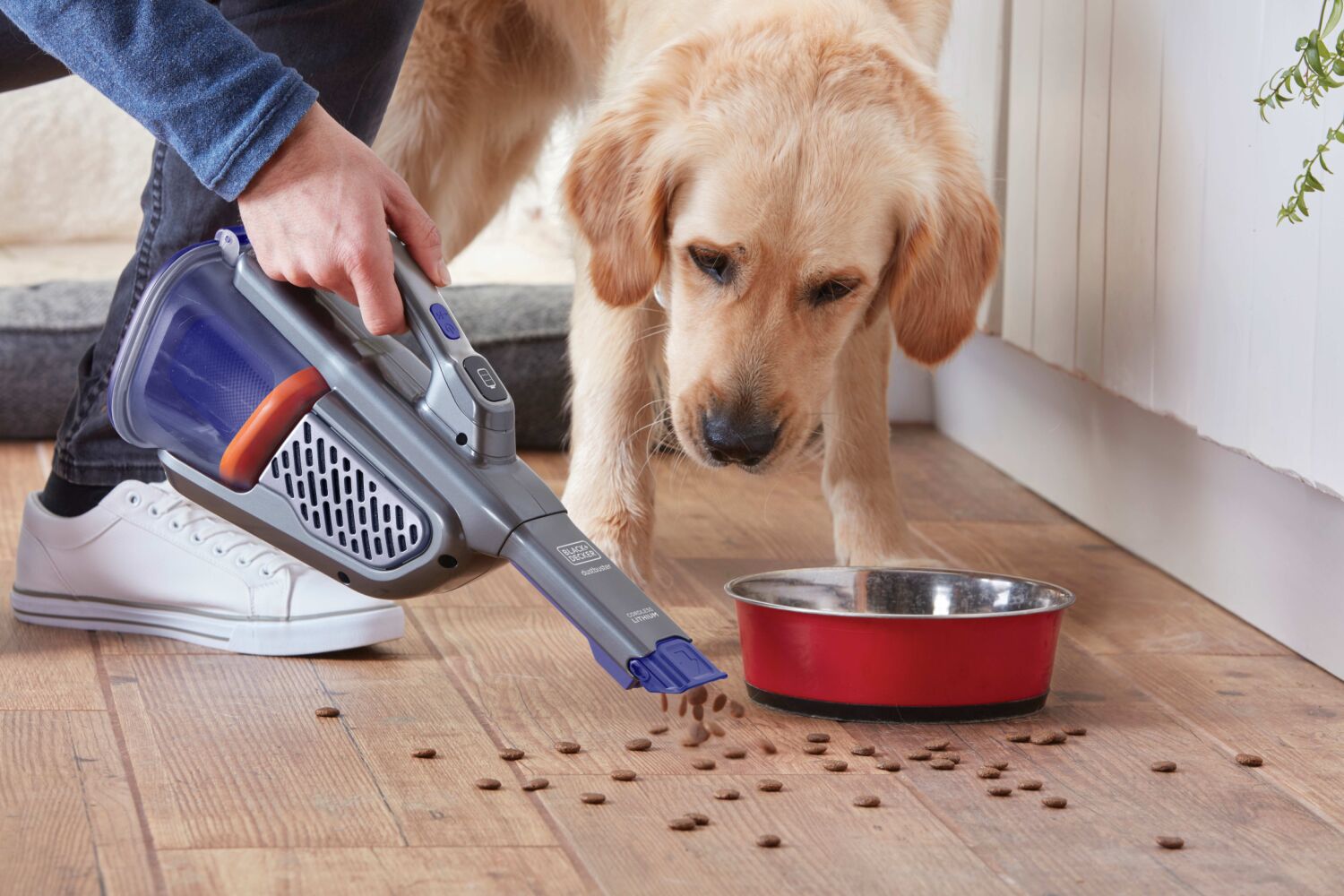 BLACK+DECKER dustbuster near dog cleaning a spill