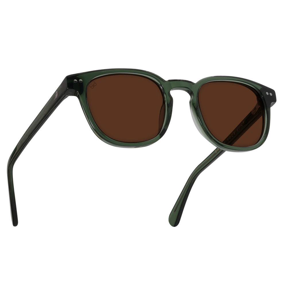 Custom Made Tints™ | Fashion Tinted Glasses – MOSCOT NYC SINCE 1915 |  United States