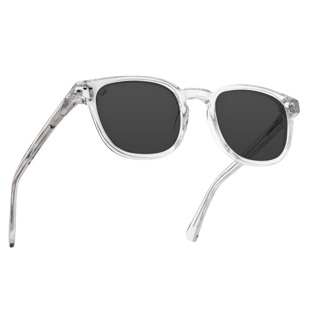 Athene Clear Crystal sunglasses frame for men Bird Eyewear
