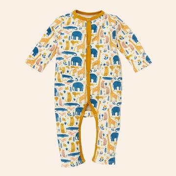 Fayetteville Sleeper