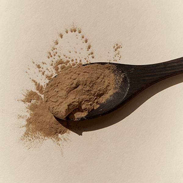 Cordyceps