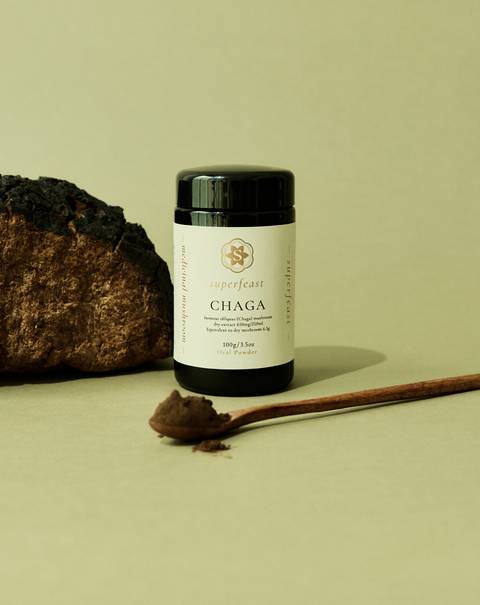 Chaga