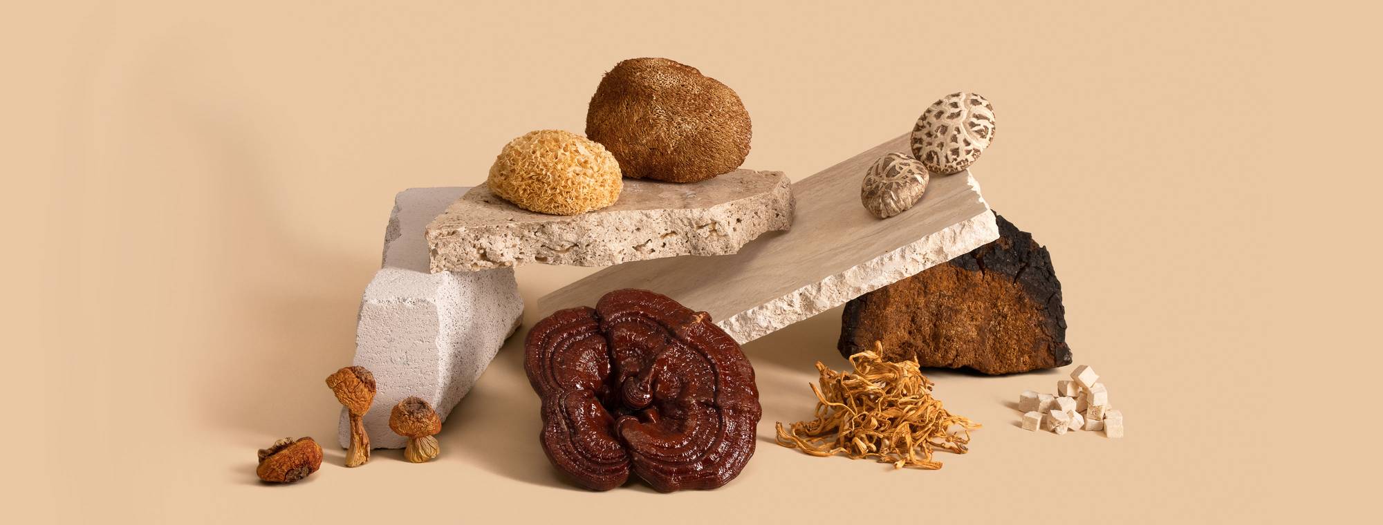 Mason's Mushrooms