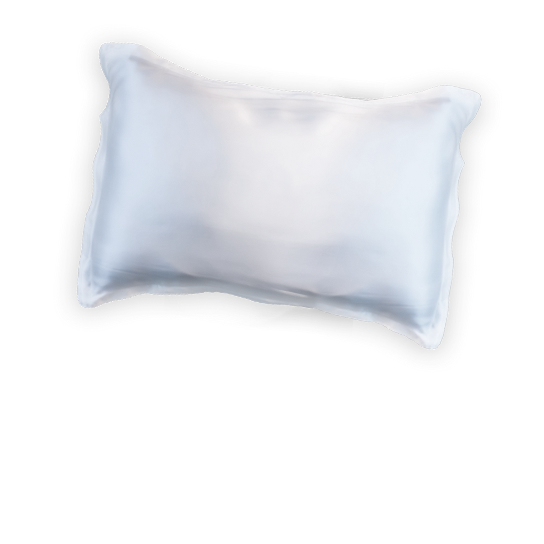 Pump Mulberry Silk Pillow Case White