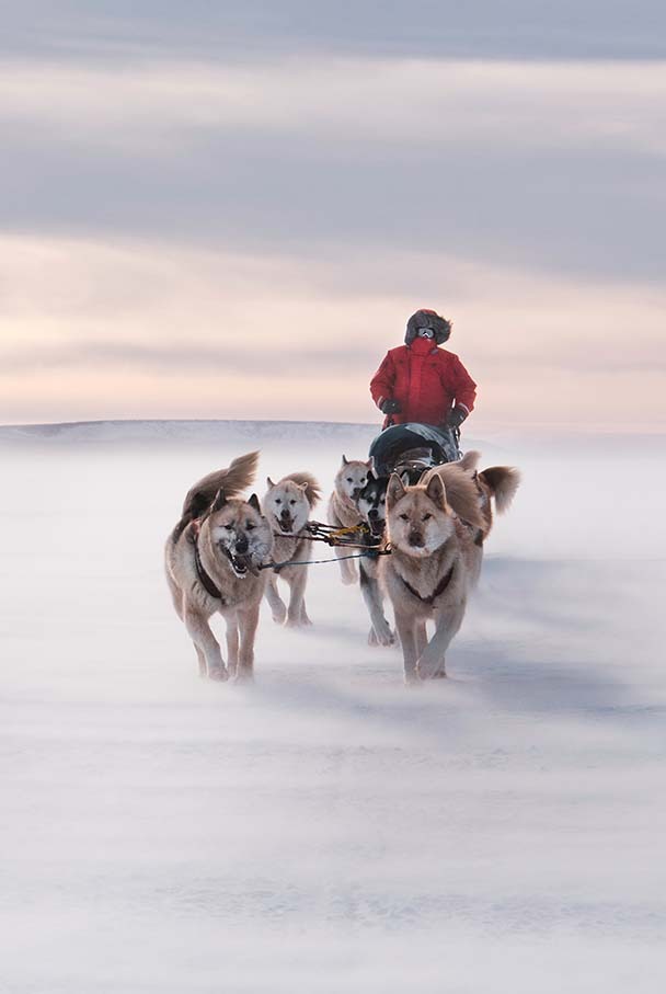 Allta Polar L8 Parka | Jacket | The Conqueror of Cold Allta Polar L8 Parka | Jacket | The Conqueror of Cold
