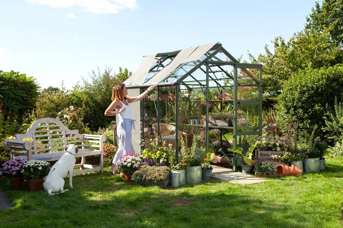 Lady pull the roof blinds of her Rhino greenhouse down