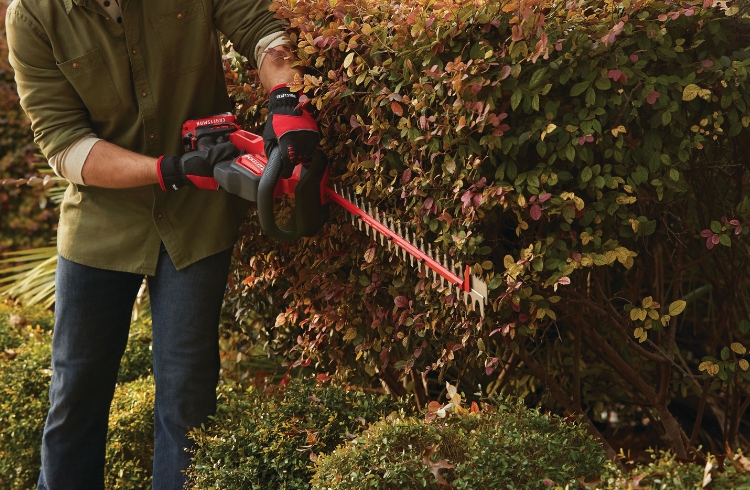23cc 2-Cycle 22 in. Gas Hedge Trimmer