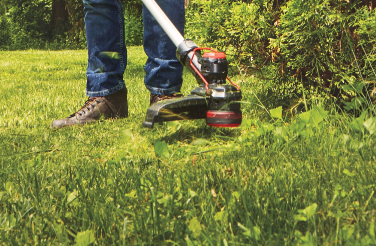Craftsman 30cc trimmer deals