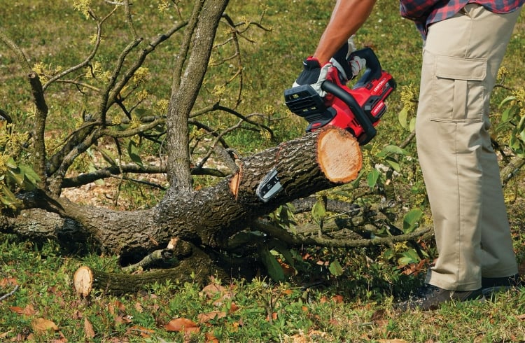 https://cld.accentuate.io/443495842097/1683733641618/Chainsaws---CMCCS620B_A5.jpg?v=1683733641618&options=