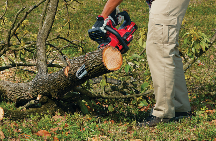 Wood Cutting Tools CRAFTSMAN