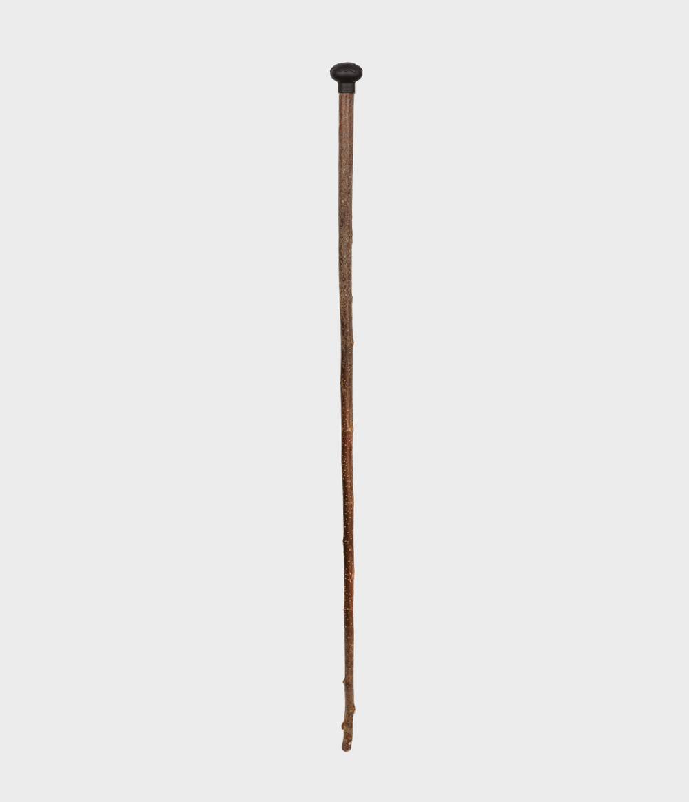 Earthwatch Oak Leaf Walking Stick