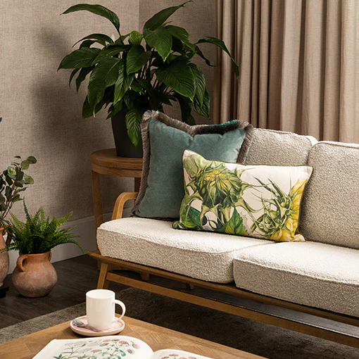 Sofas Furniture