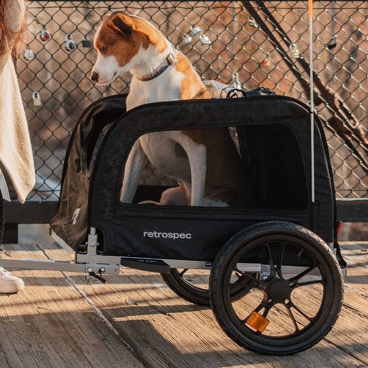 A brown and white dog sits inside a black Rover Waggin' Pet Bike Trailer, parked on a wooden walkway near a chain-link fence.