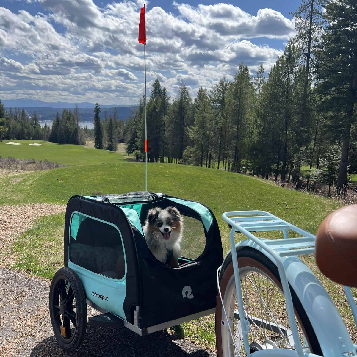 A cheerful Australian Shepherd sits inside a teal and black retrospec pet trailer on a scenic path beside a lush golf course, with pine trees and a mountain lake stretching out in the background. A red safety flag waves above as the retrospec cruiser bike waits nearby, ready to roll.