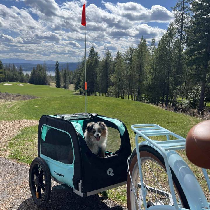 A cheerful Australian Shepherd sits inside a teal and black retrospec pet trailer on a scenic path beside a lush golf course, with pine trees and a mountain lake stretching out in the background. A red safety flag waves above as the retrospec cruiser bike waits nearby, ready to roll.