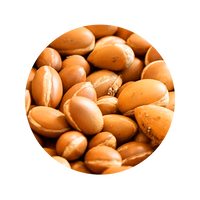 ARGAN OIL