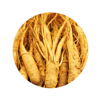 GINSENG