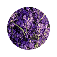 LAVENDER OIL