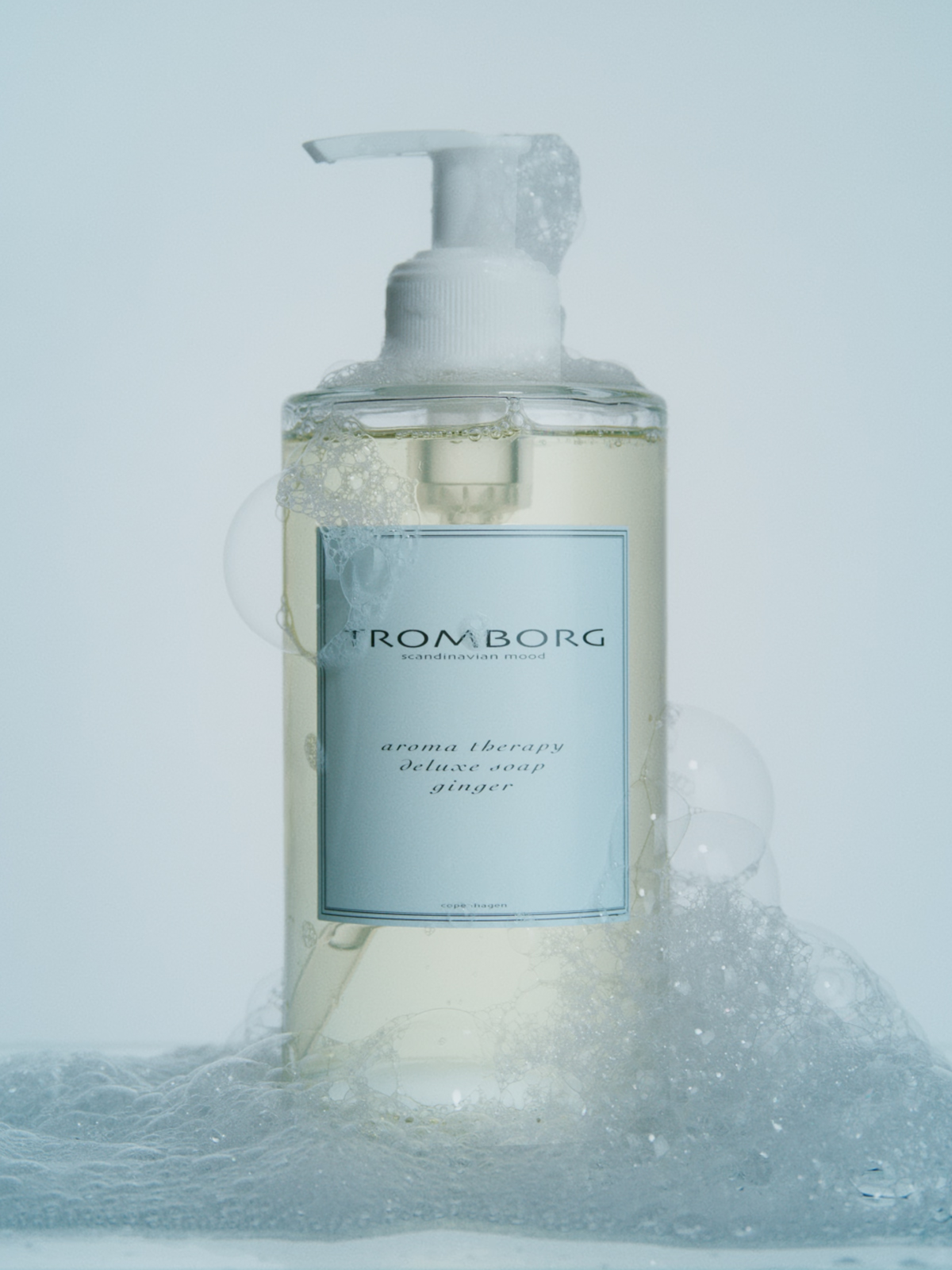 Aroma Therapy Deluxe Soap Ginger 20th Anniversary