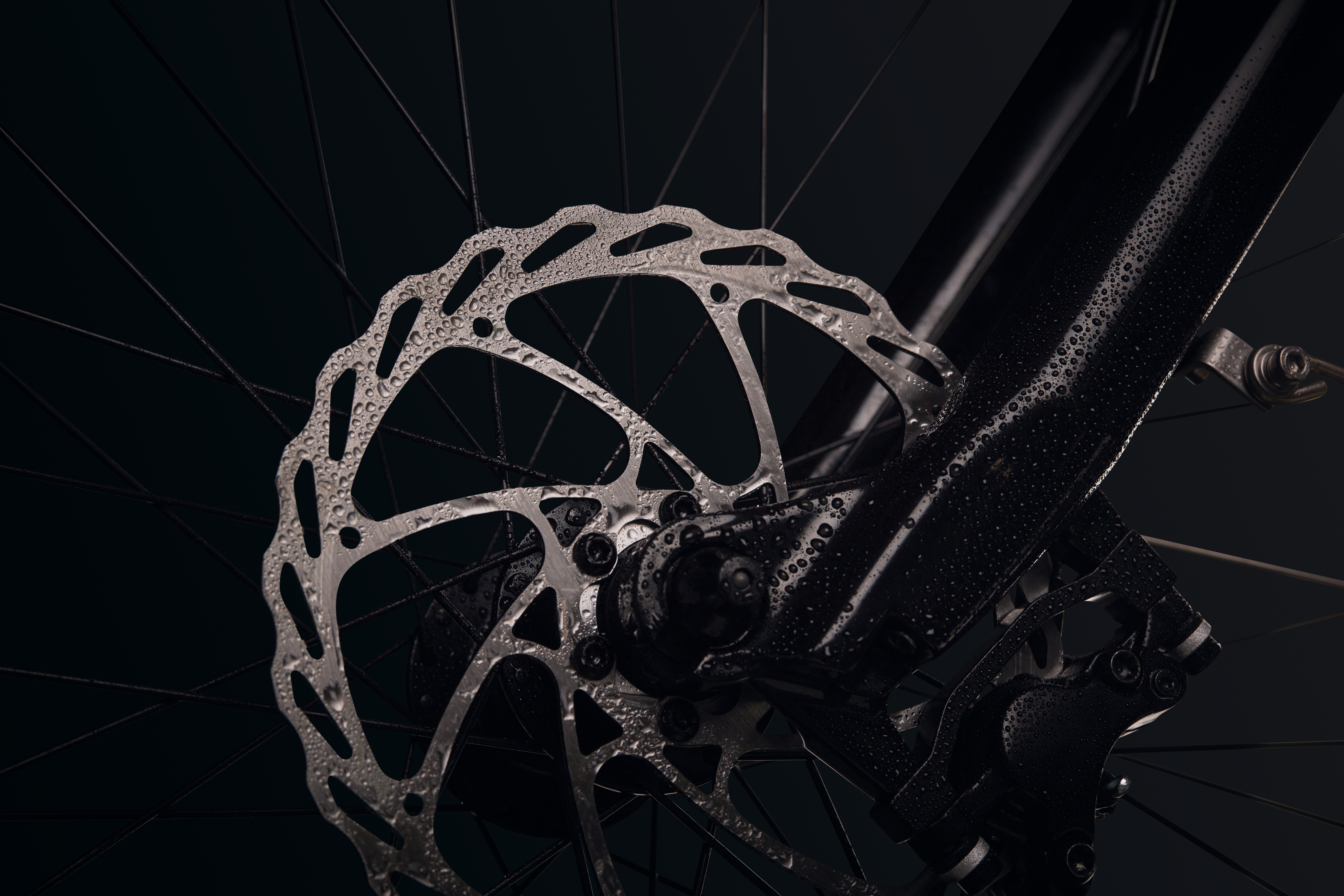 Detail image of a wet disc brake on a Rad Power Bike