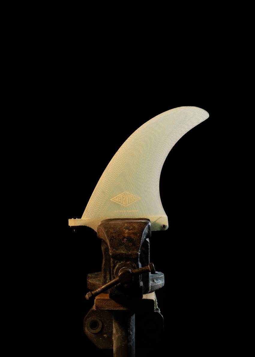 Bluebird Fin