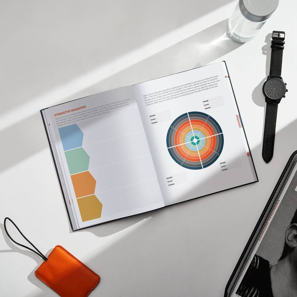 Dailygreatness Success at Work - Career Planner and Journal