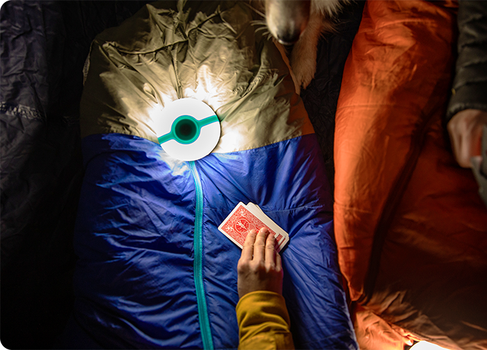 A hand holds a playing card on a colorful sleeping bag, illuminated by a round lamp, with a dog nearby.