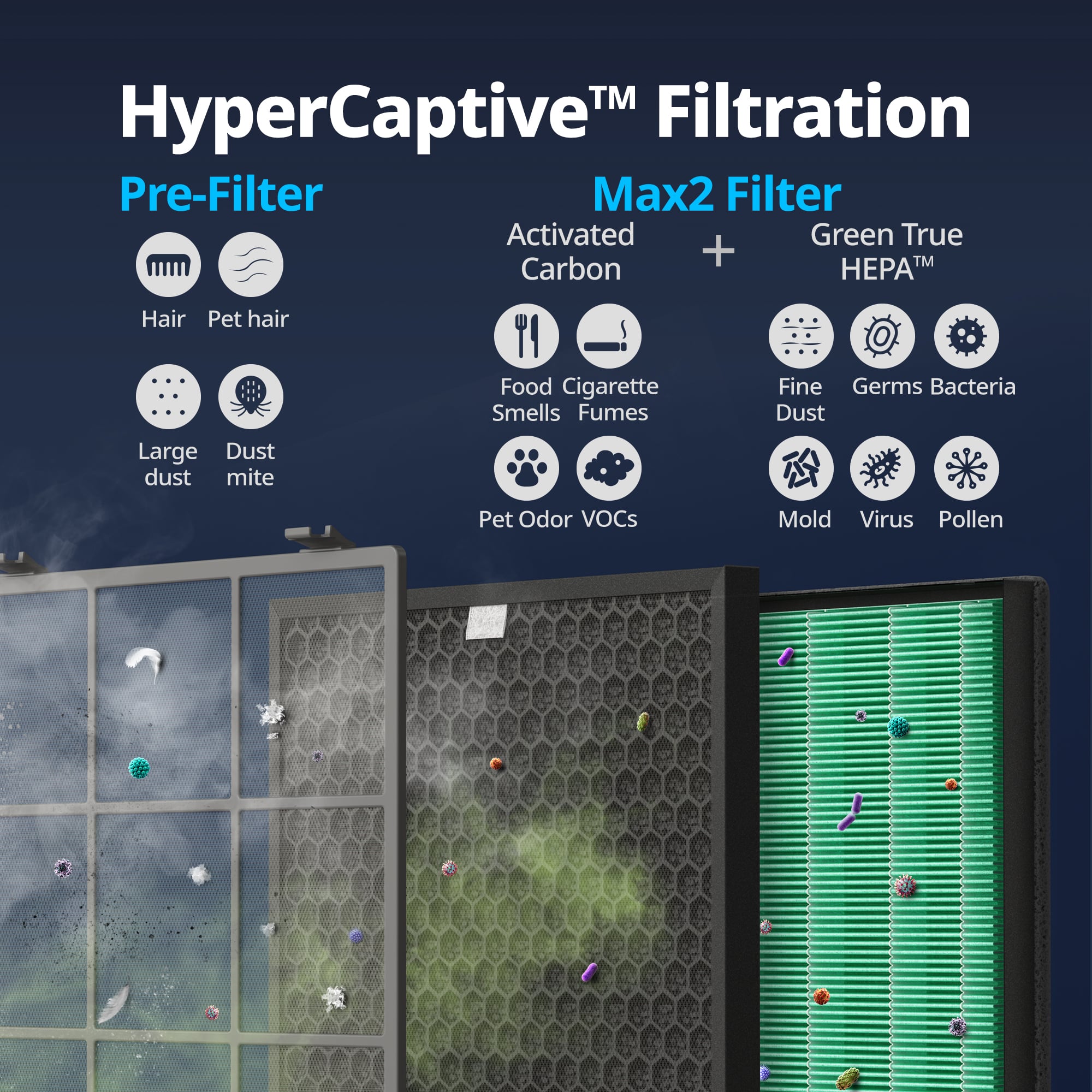 Airmega 300 HyperCaptive Filtration