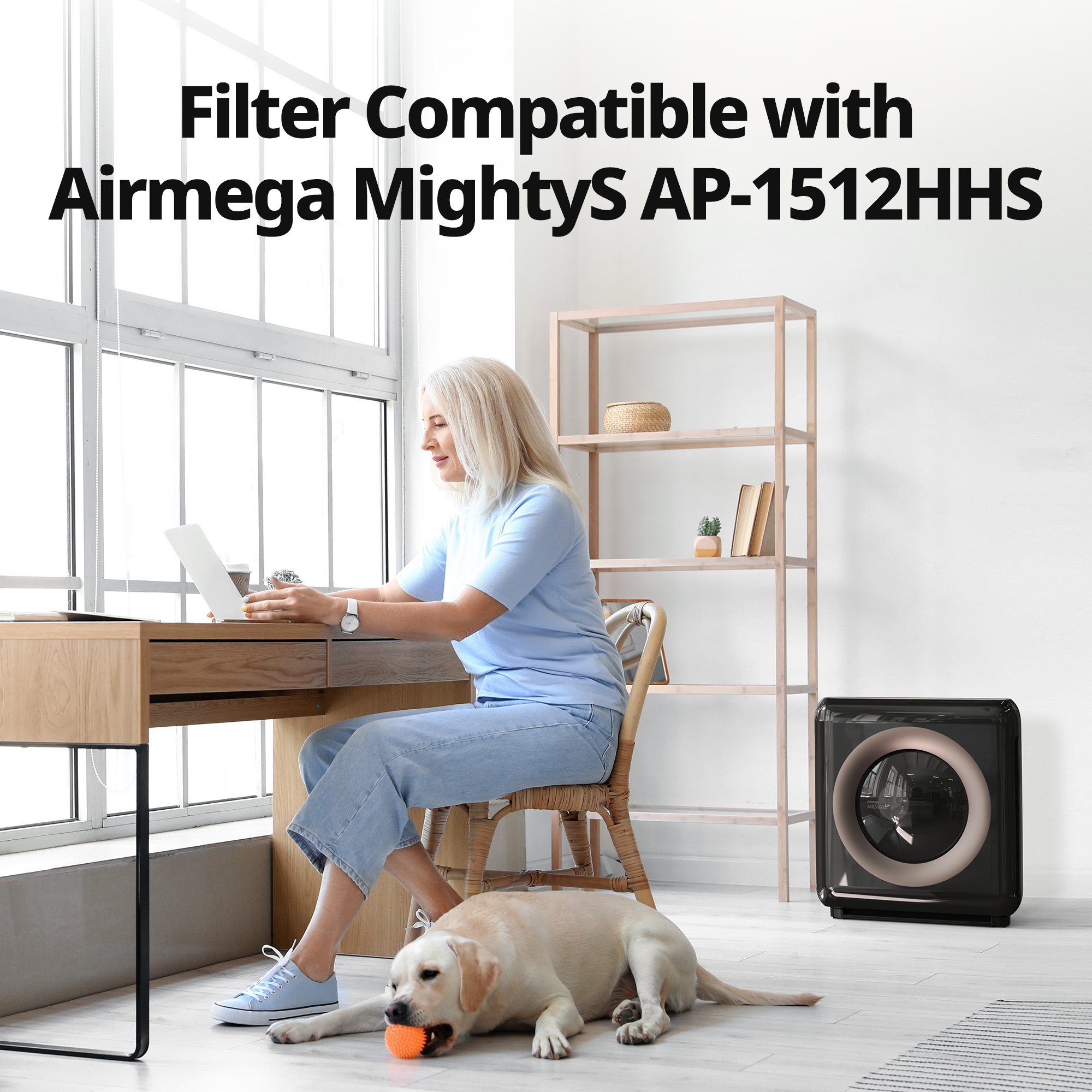 Filter compatible with Airmega MightyS AP-1512HHS