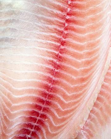close up image of raw pollack fish