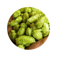 IRISH HOPS