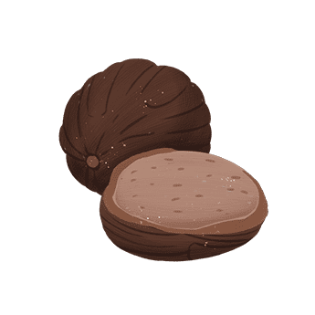 Nutmeg