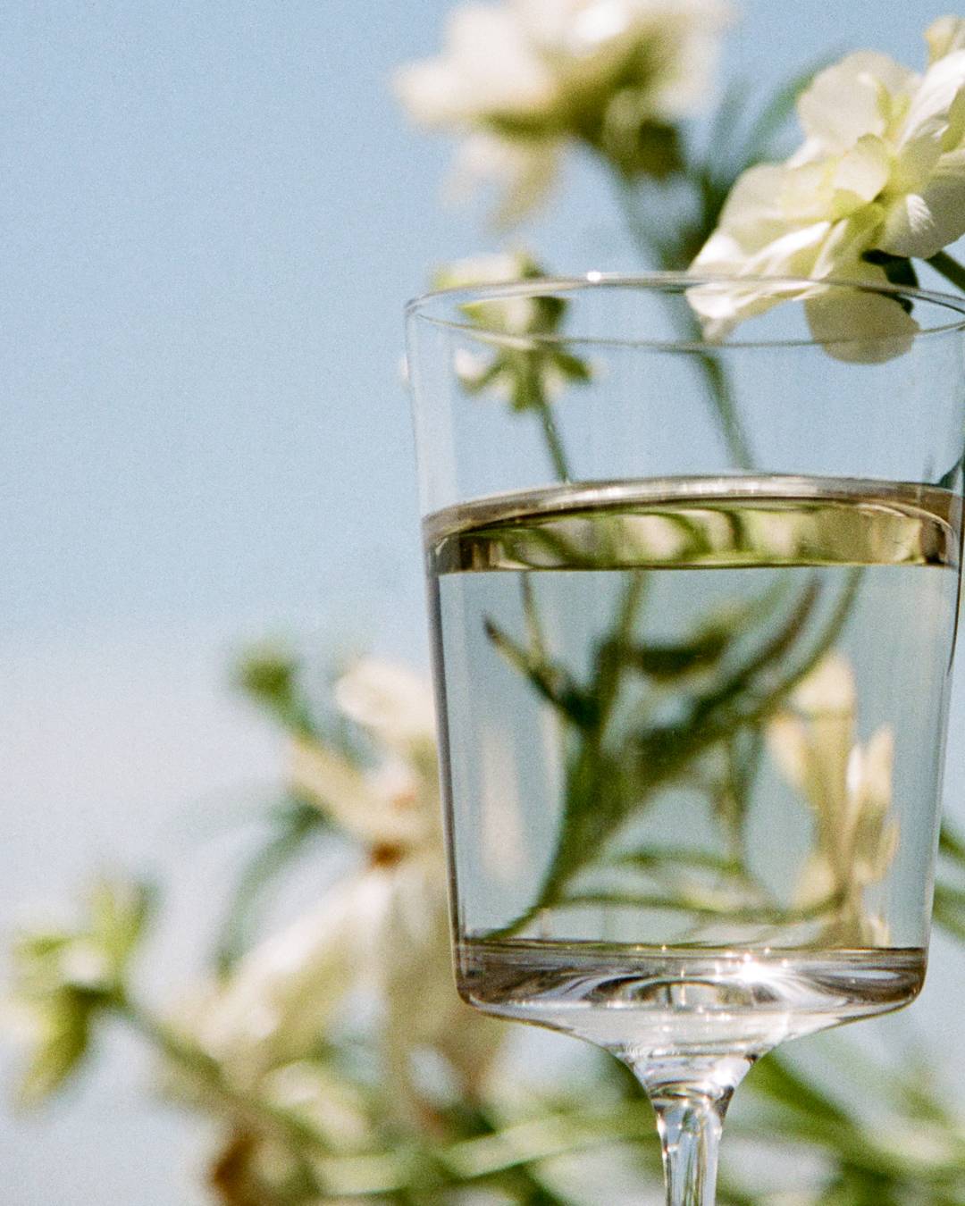 Honey Roasted Feta Avaline Community Cookbook White Wine Pairing