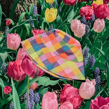 Summer Sun Bucket Hat