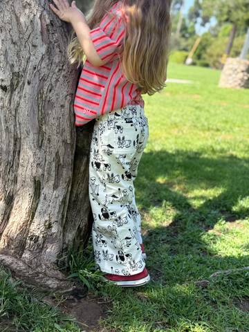 Inked Bolinas Pants