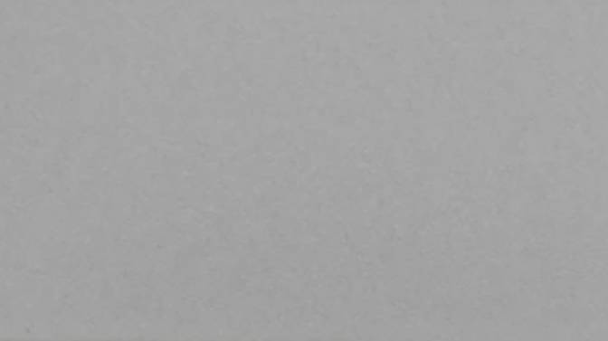 G02.2 Sample in Light Grey Whale