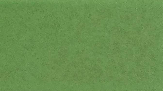 G66 Verde