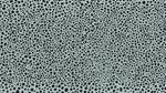 LM1 Sample in Chalk-Gunmetal