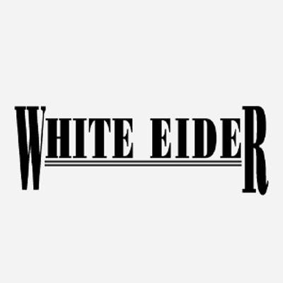 White Eider