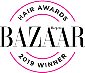 Harper’s Bazaar Hair Awards 2019 - Skinnies