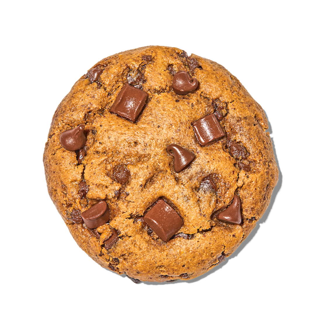 Chocolate Chip