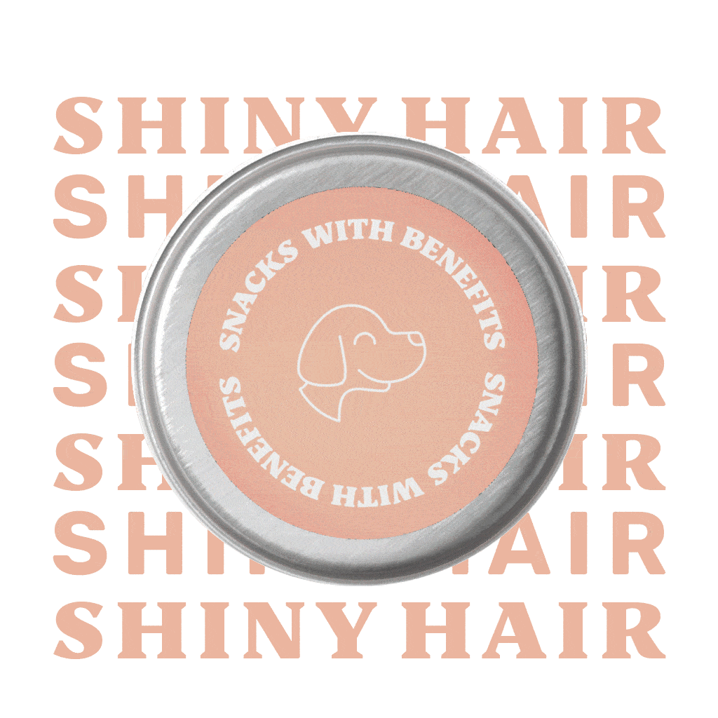 Shiny Hair