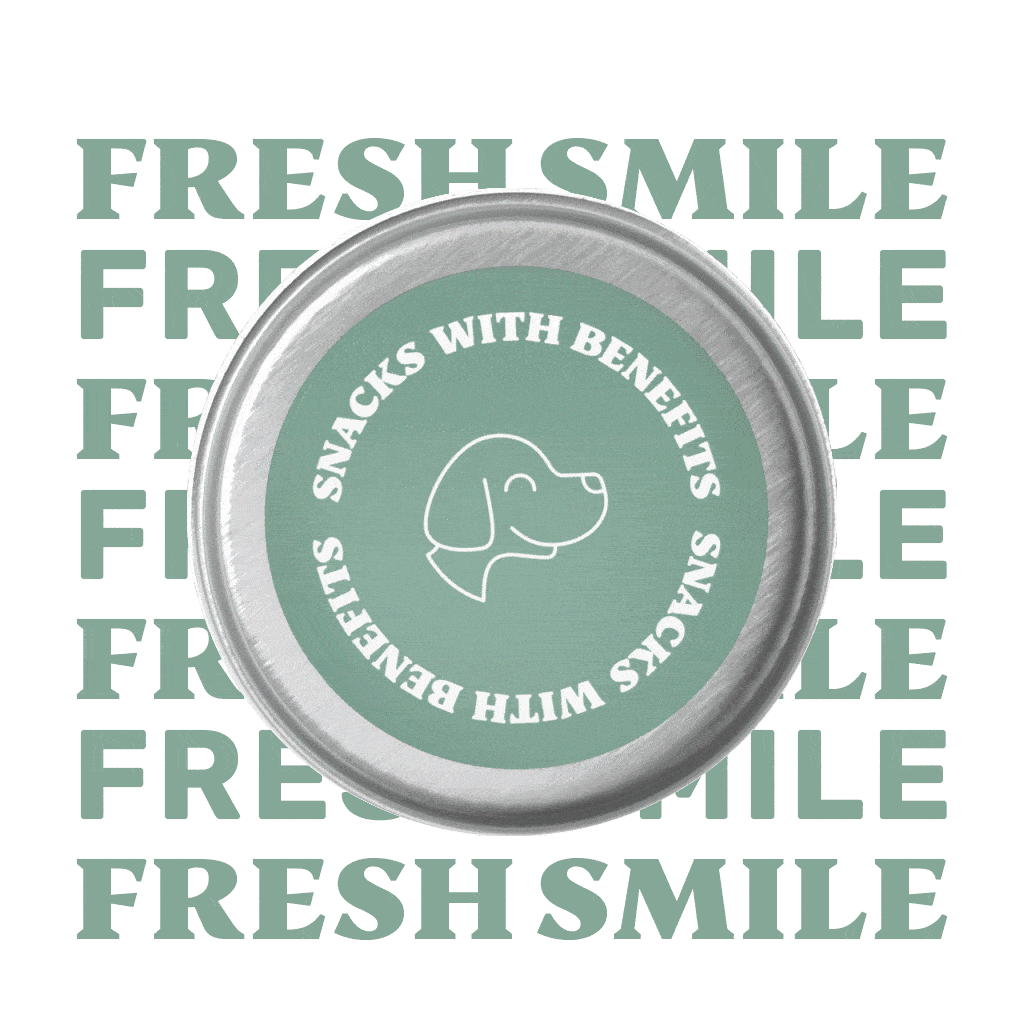 Fresh Smile