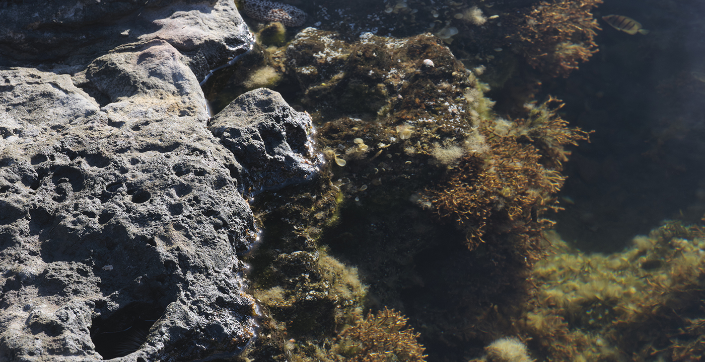 K&F Concept 46mm Circular Polarizers Lens Filter HD 28 Layer Super Slim Multi-Coated