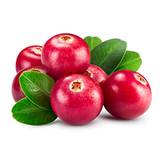 Cranberry Enzymes