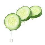 Cucumber Extract