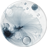 Hyaluronic Acid