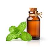 Peppermint Oil