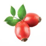 Rosehip Oil