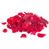 Rose Petals